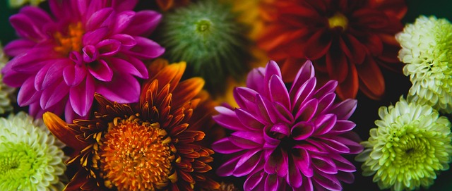 和穿插跑位 和穿插跑位