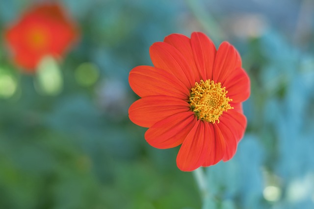 成功说明 成功说明