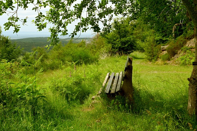 新的活力 新的活力