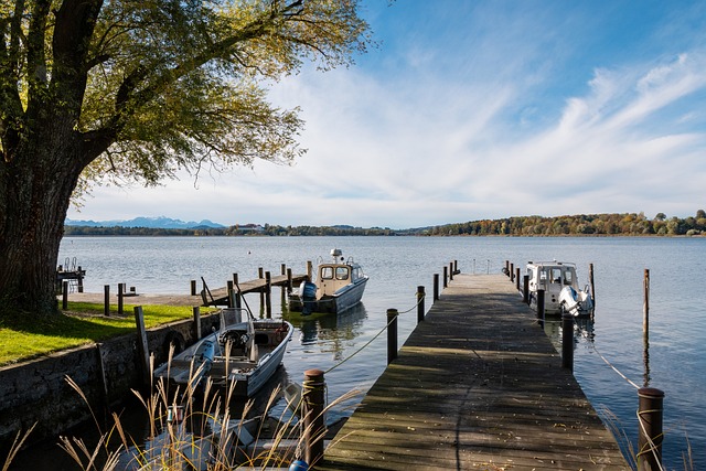 喬科爾談球衣爭議：英足總顯得有些無能！索斯蓋特處理不錯！.