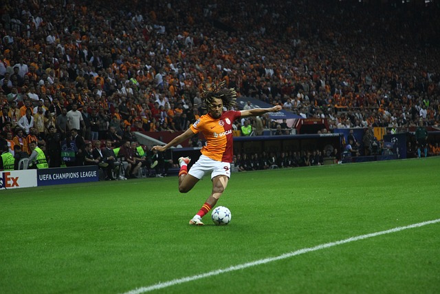 展示全新生 展示全新生