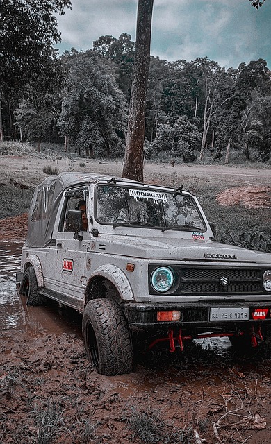 他们的社交 他们的社交