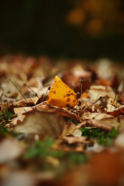 刘俊茜有极 刘俊茜有极