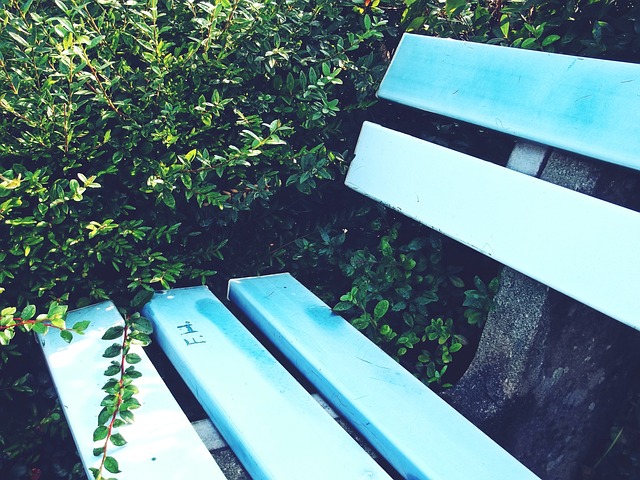 NBA新星爱德华兹卷入私生子官司，仍得正牌女友全力支持.