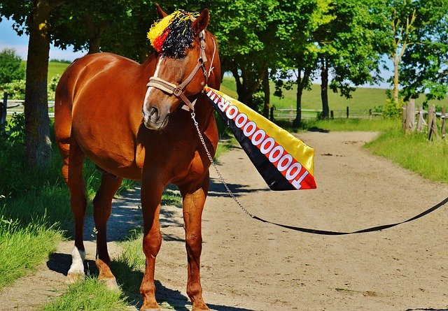 伊万米卢同框观战U20 国足主帅为新发现欣喜.