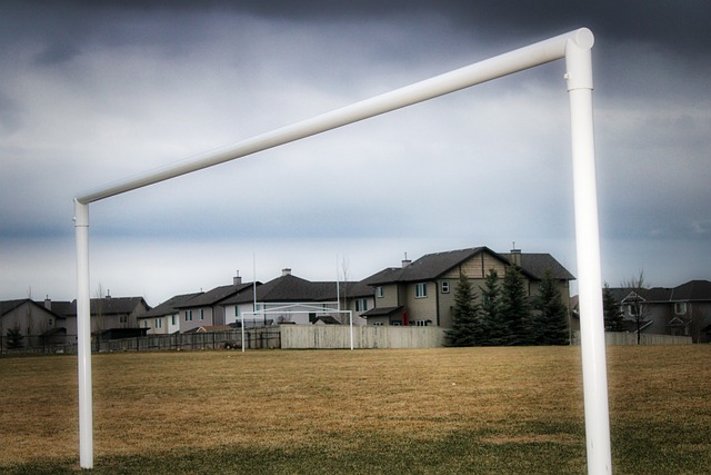 崇尚實力 崇尚實力