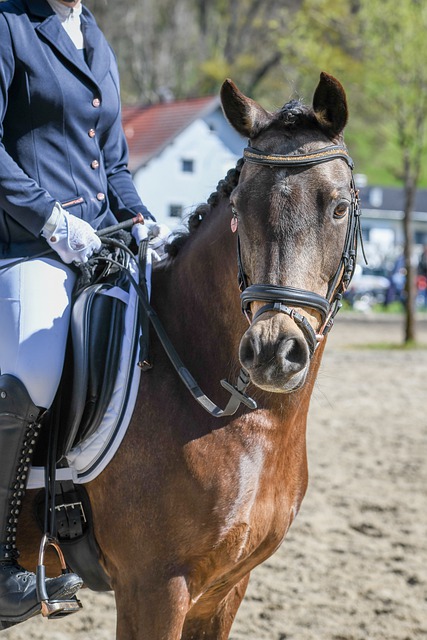 卡塔尔首相 卡塔尔首相